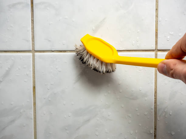 Best Residential Mold Removal  in Hildale, UT