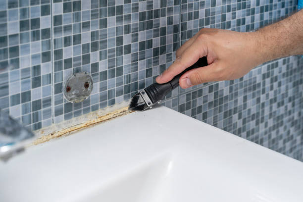 Best Home Mold Removal  in Hildale, UT